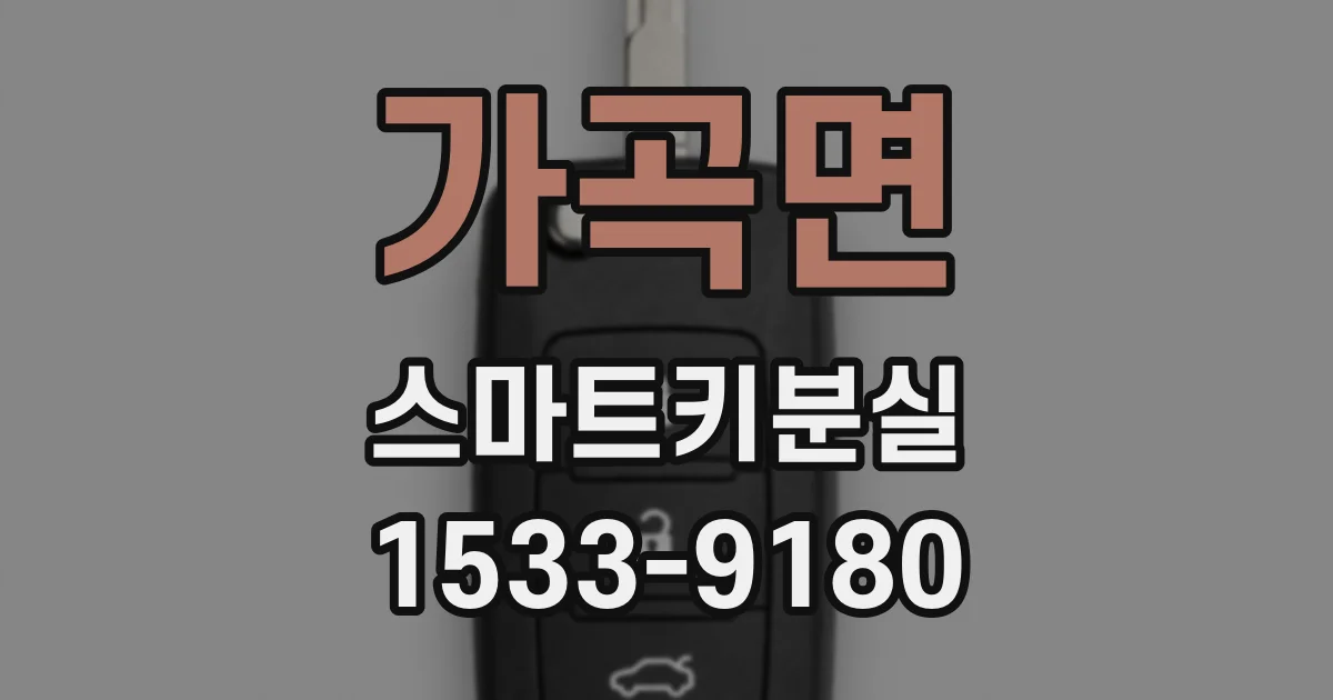 가곡면 스마트키분실