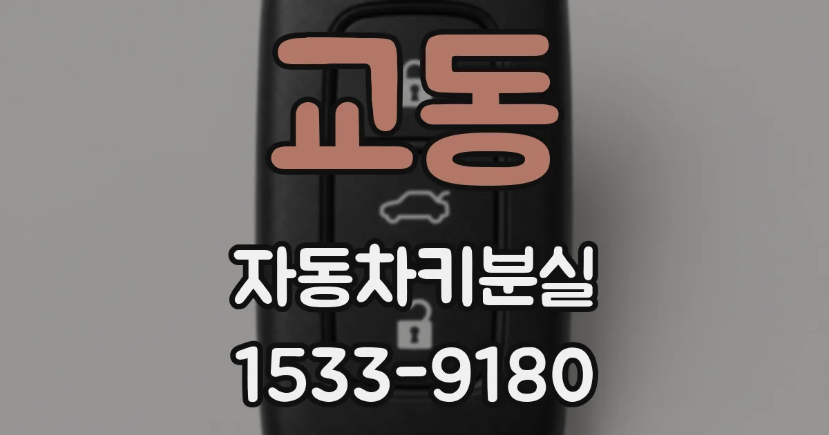 교동 자동차키분실