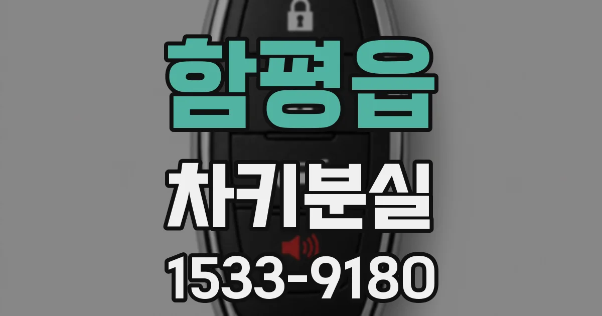 함평읍 차키분실