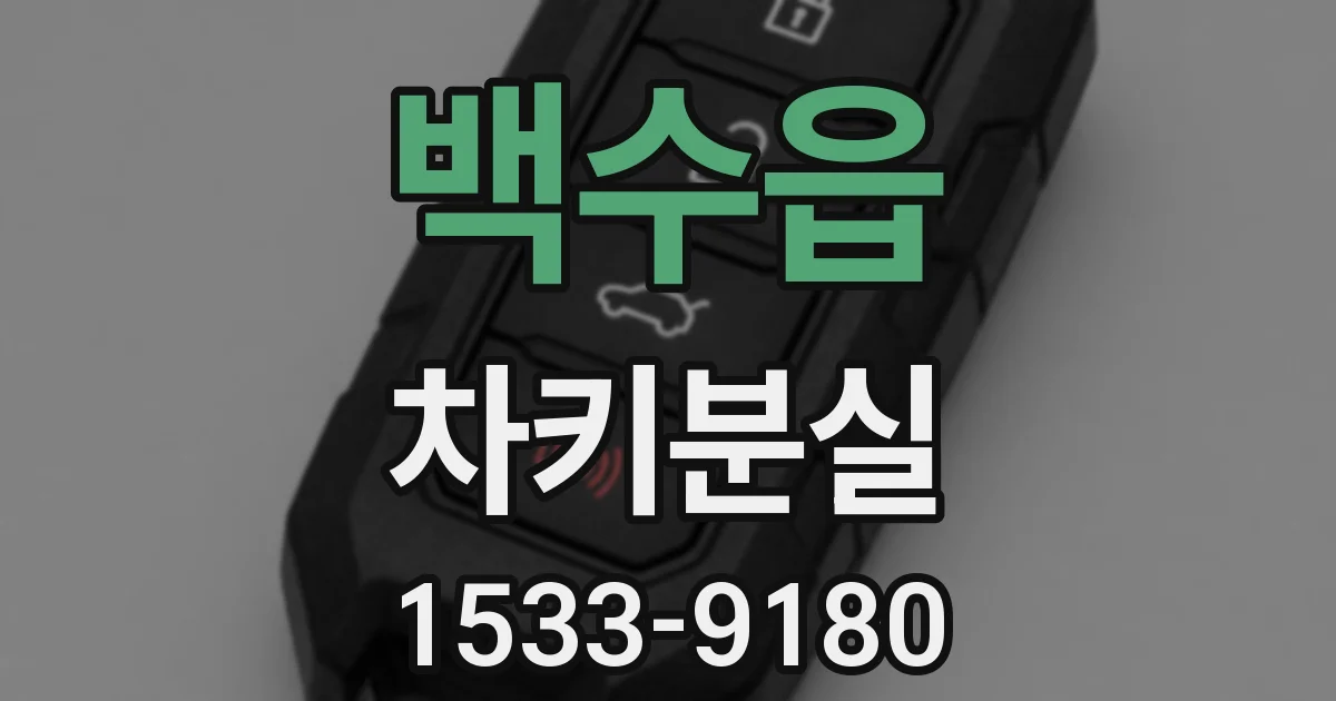 백수읍 차키분실