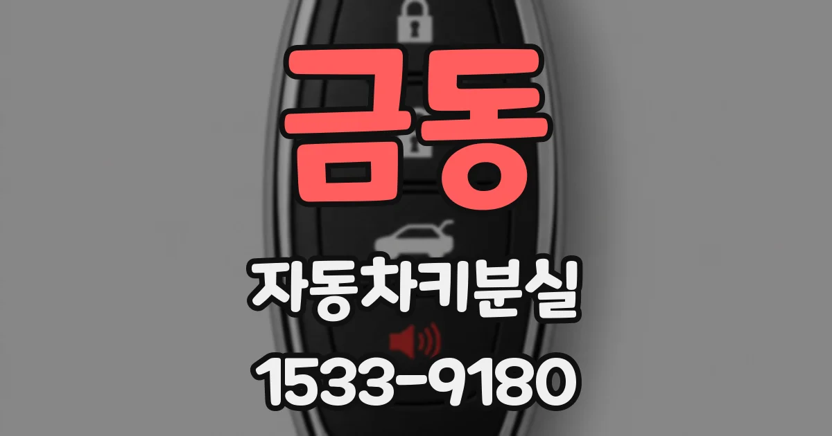 금동 자동차키분실