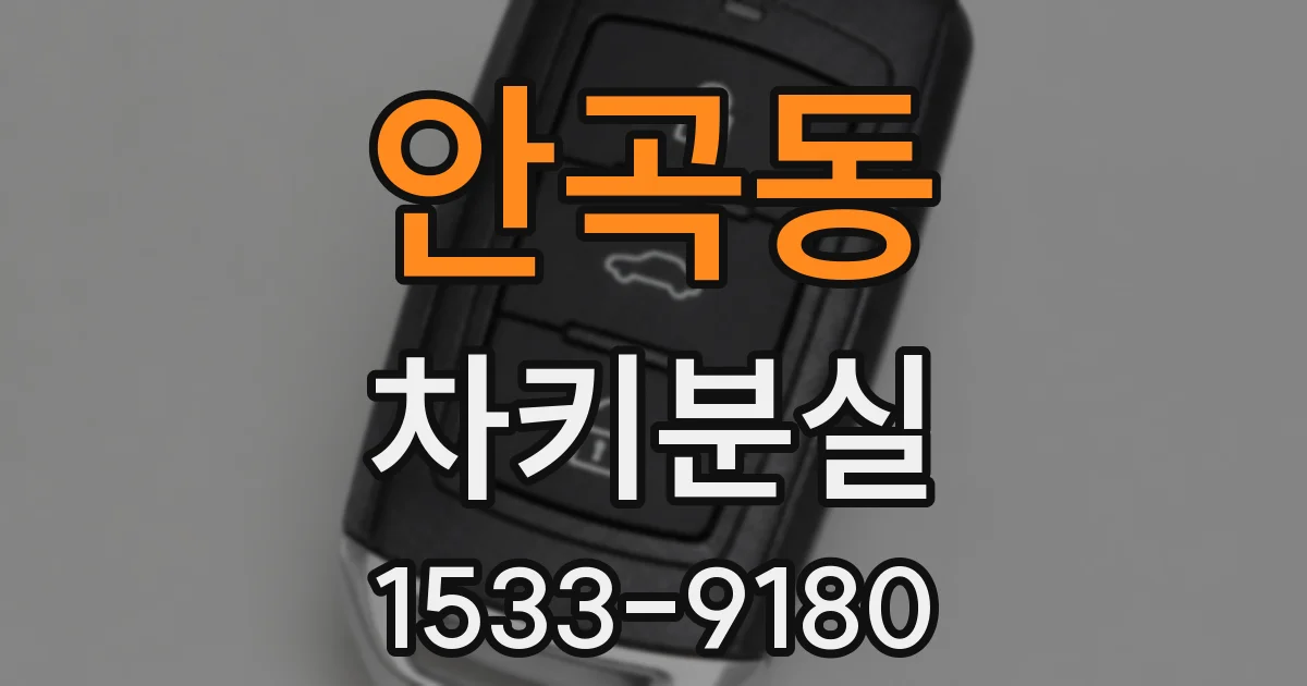 안곡동 차키분실