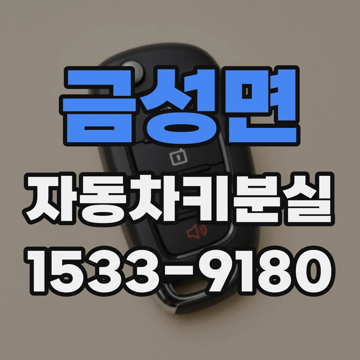 금성면 자동차키분실