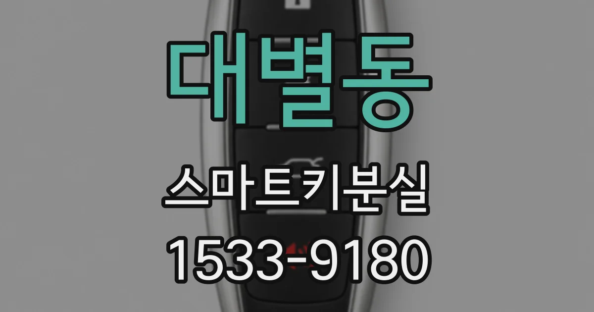 대별동 스마트키분실