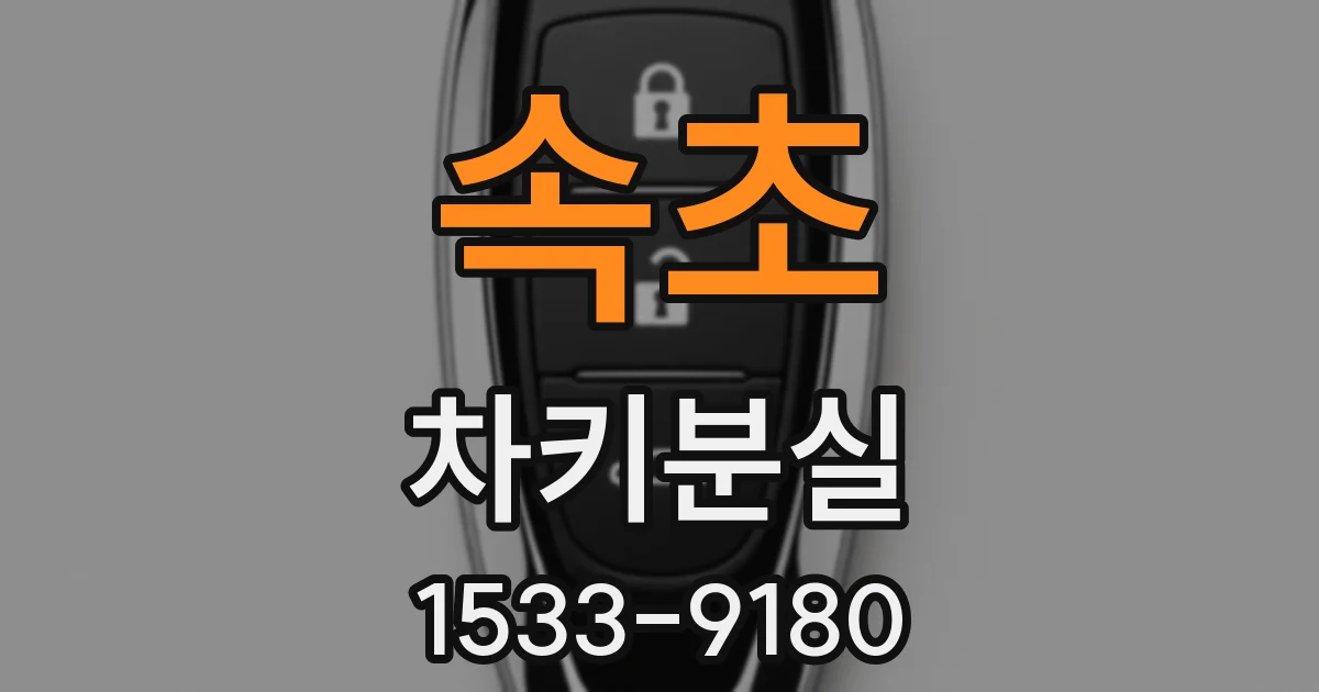 속초 차키분실