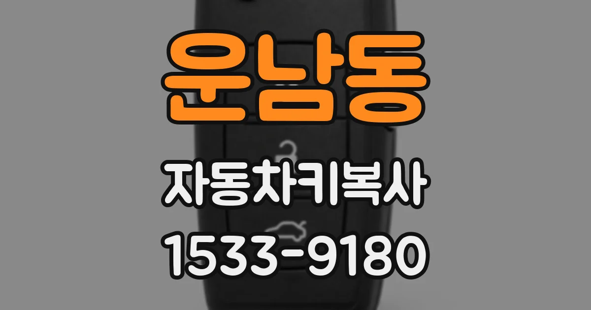 운남동 자동차키복사
