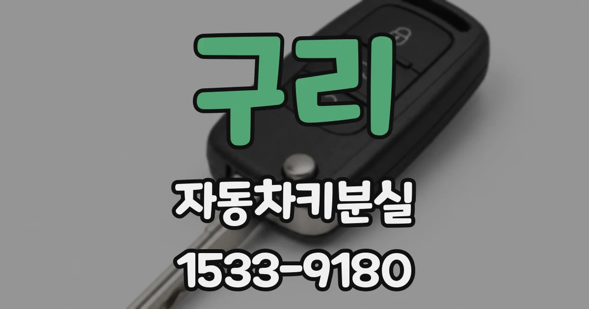 구리 자동차키분실