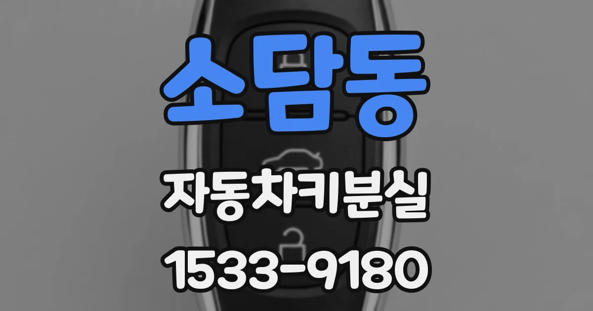 소담동 자동차키분실