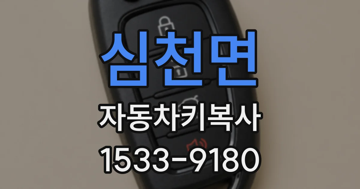 심천면 자동차키복사