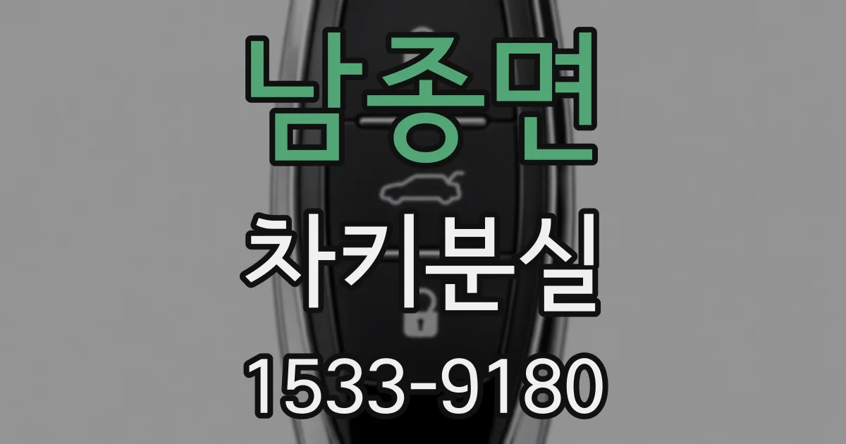 남종면 차키분실