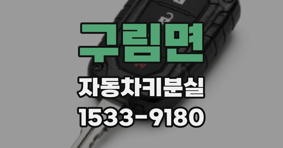구림면 자동차키분실