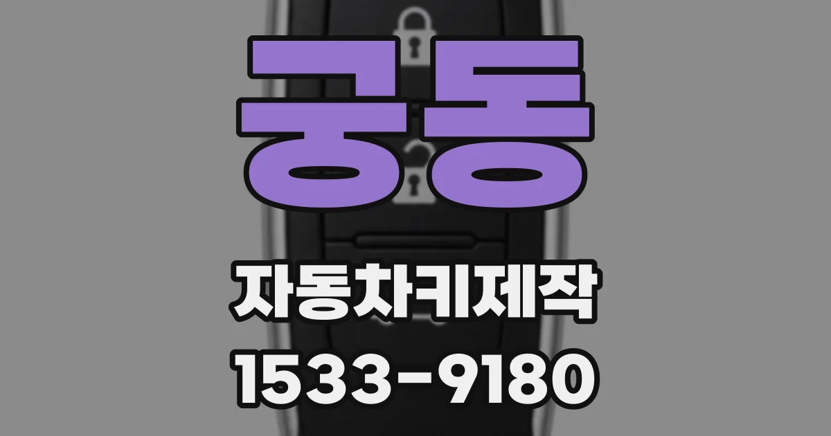 궁동 자동차키제작