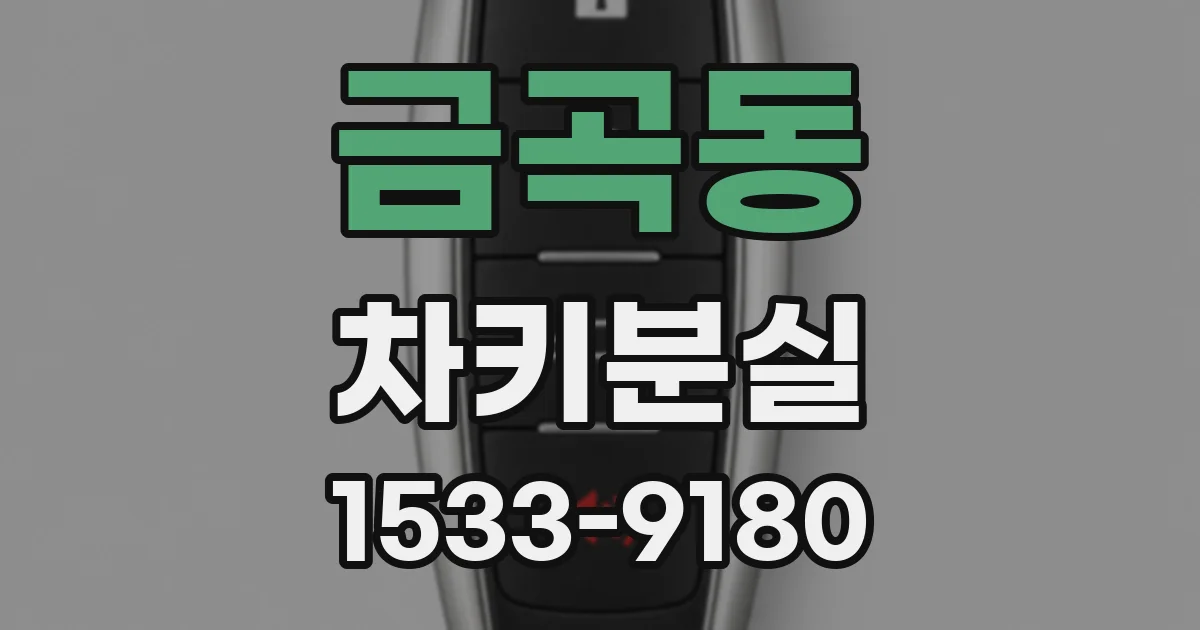 금곡동 차키분실