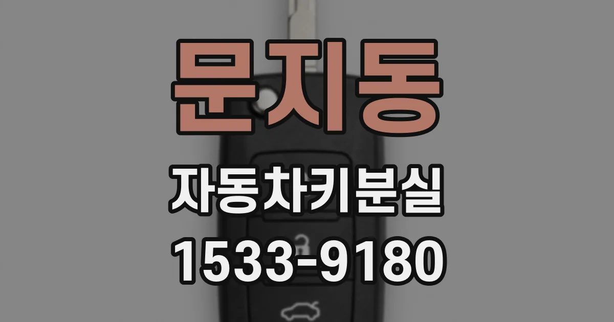 문지동 자동차키분실