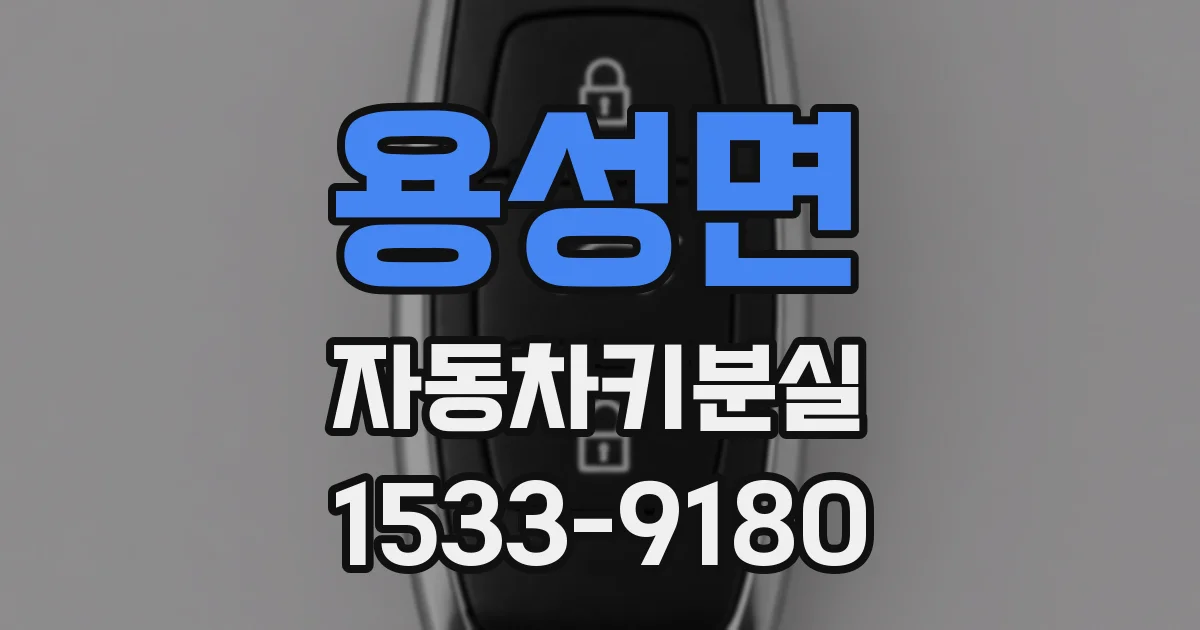 용성면 자동차키분실