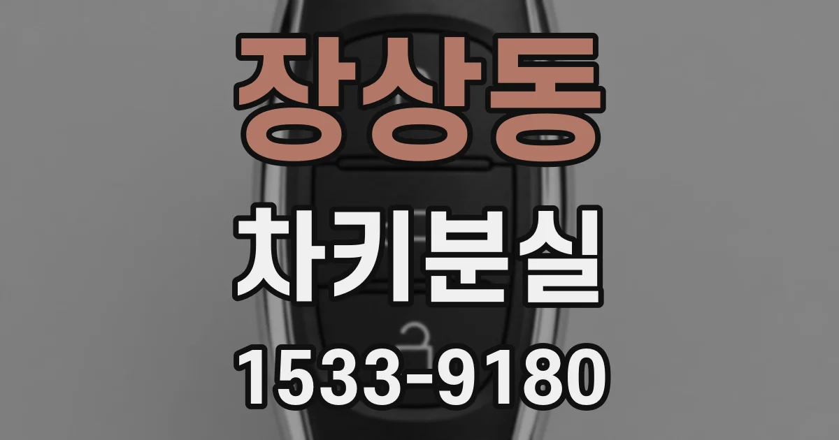 장상동 차키분실