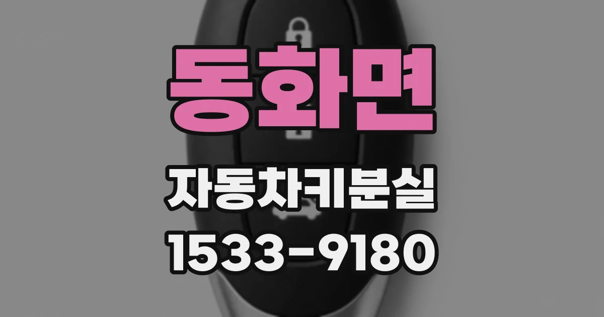 동화면 자동차키분실