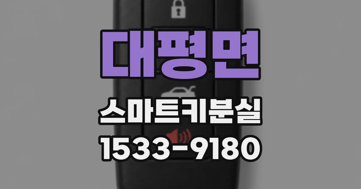 대평면 스마트키분실
