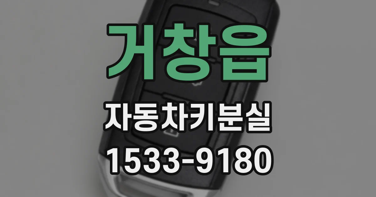 거창읍 자동차키분실