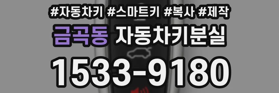 금곡동 자동차키분실
