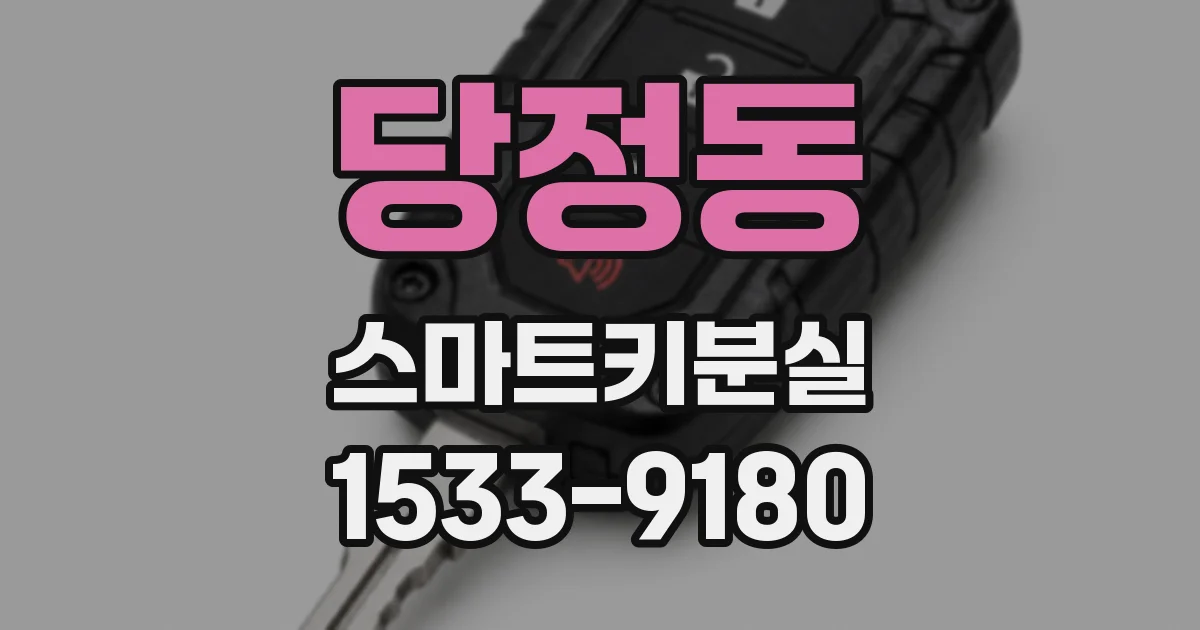 당정동 스마트키분실