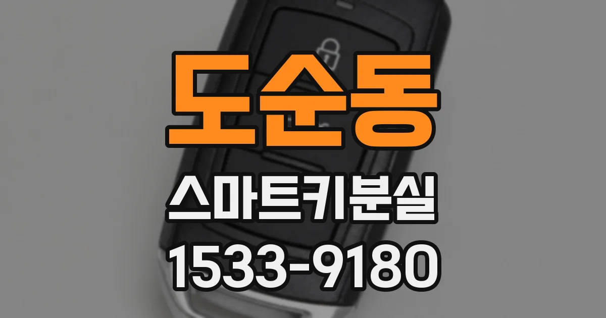 도순동 스마트키분실