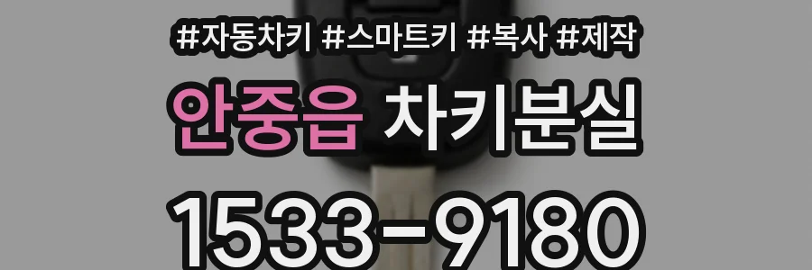 안중읍 차키분실