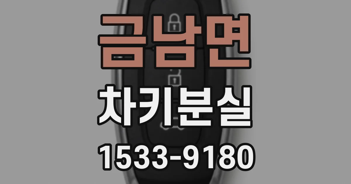 금남면 차키분실