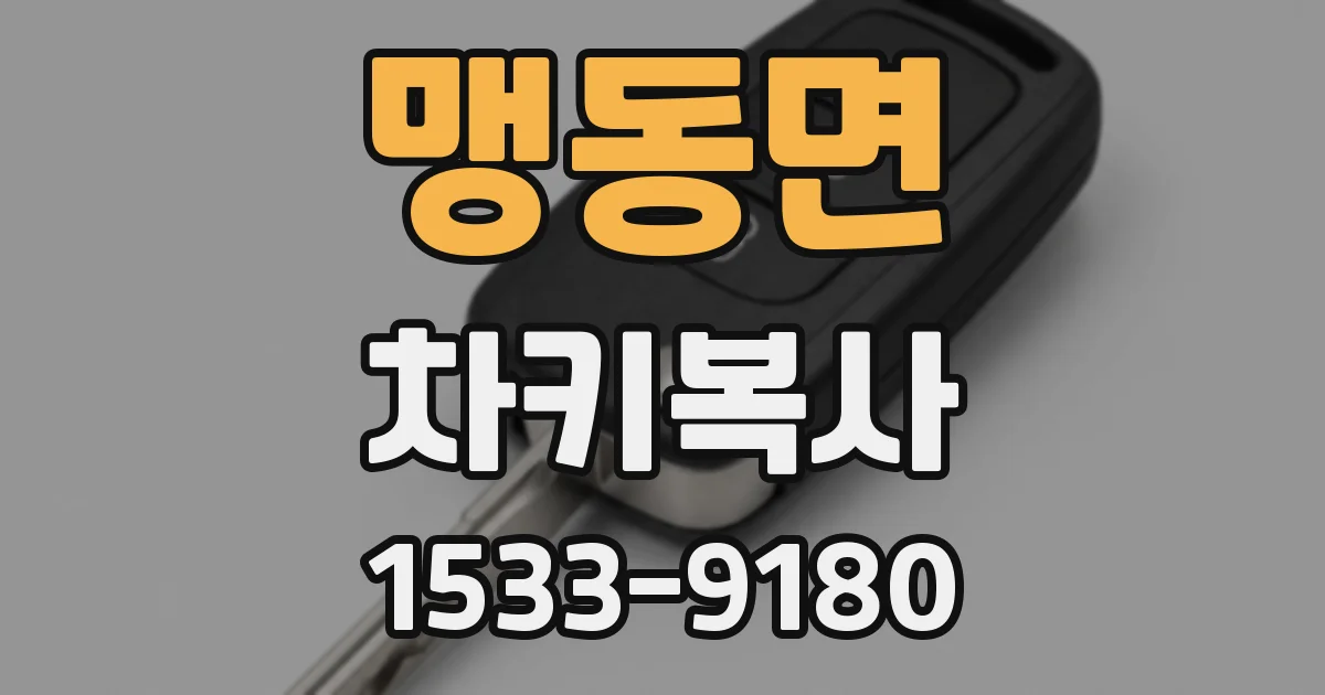맹동면 차키복사