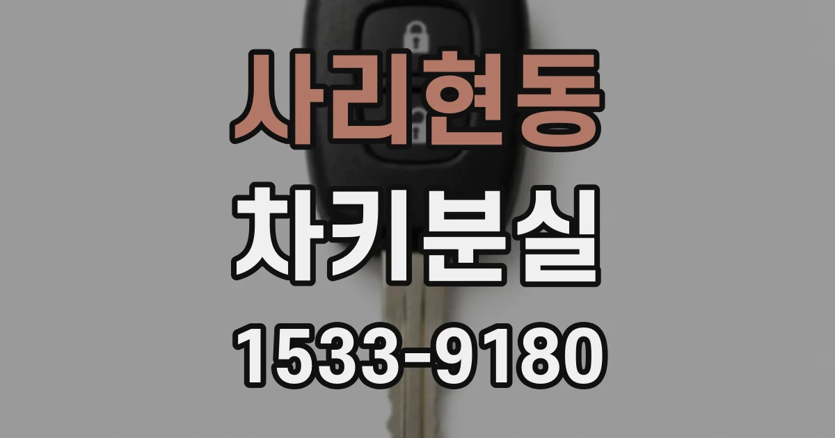 사리현동 차키분실