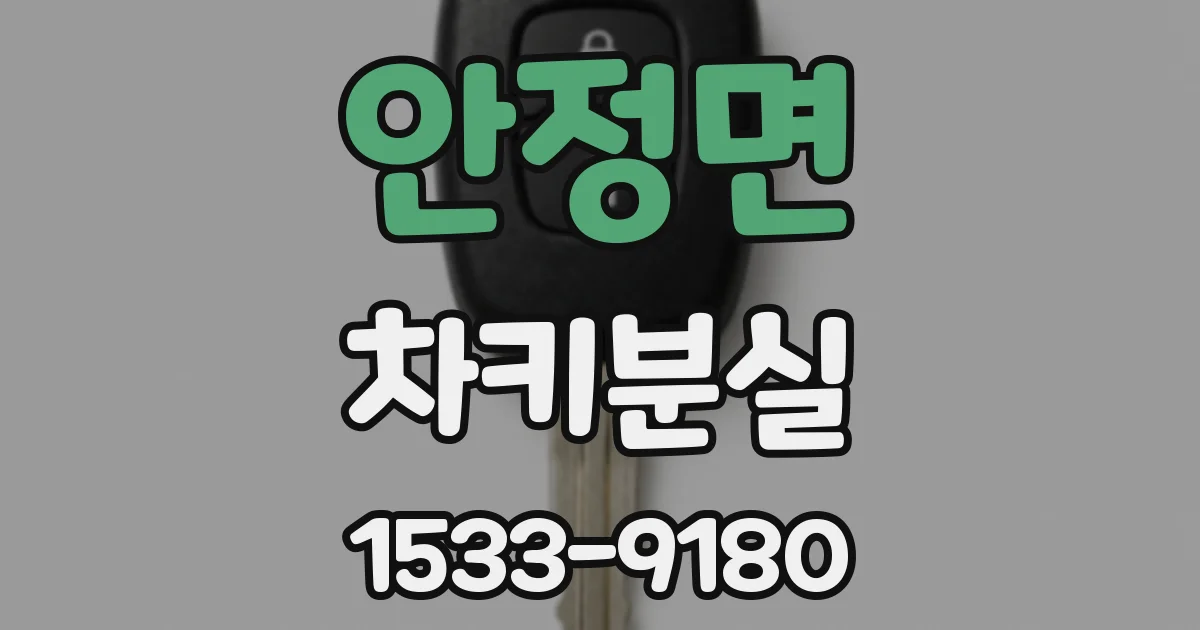 안정면 차키분실