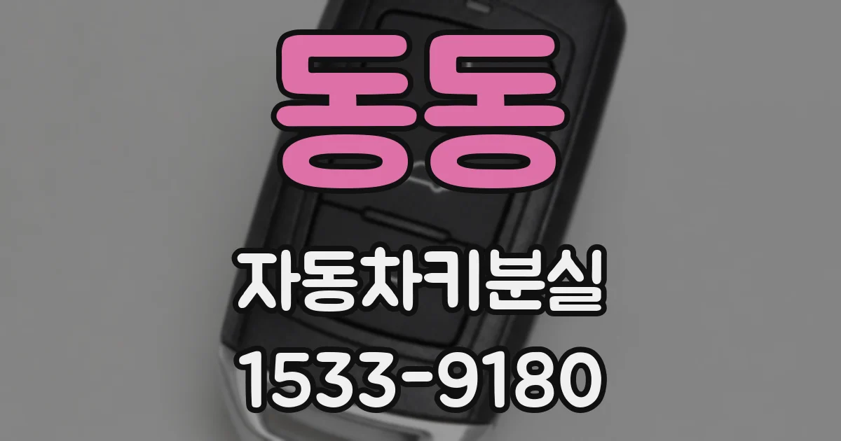 동동 자동차키분실