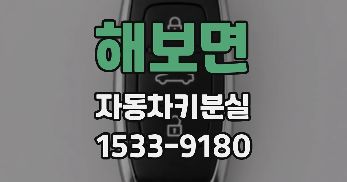 해보면 자동차키분실