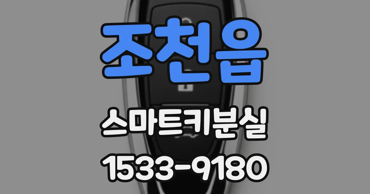 조천읍 스마트키분실