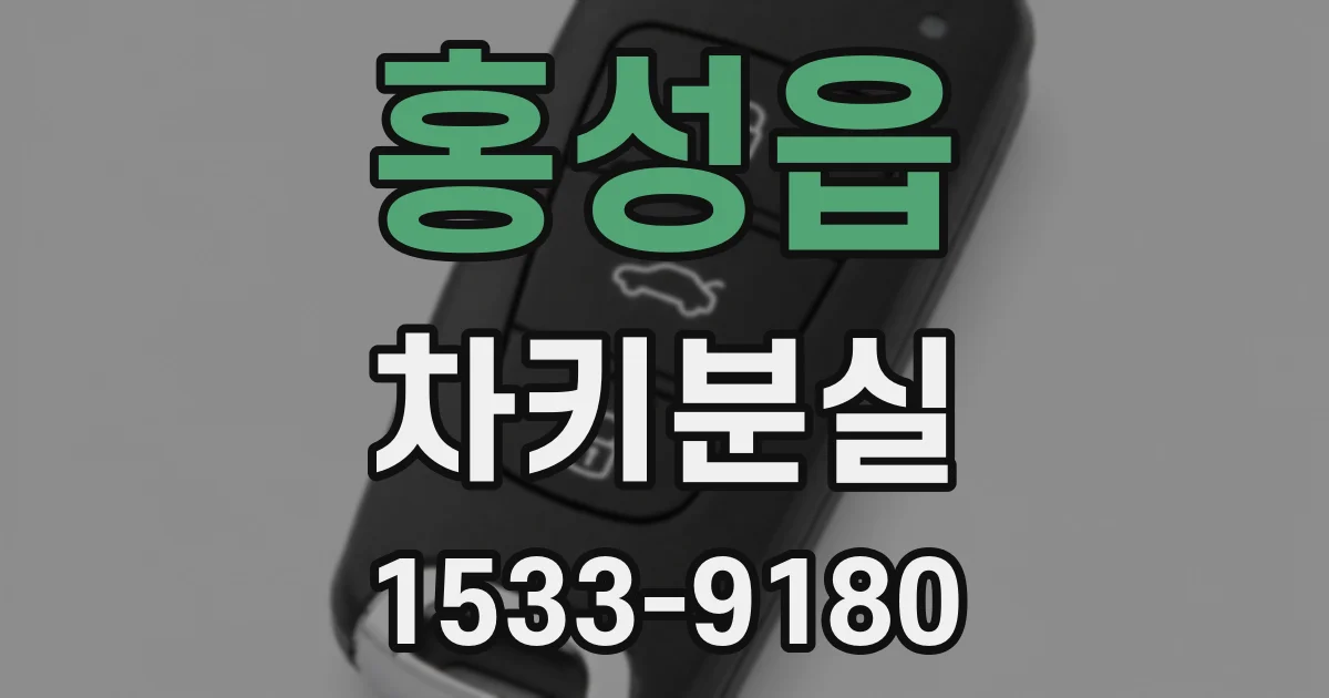 홍성읍 차키분실