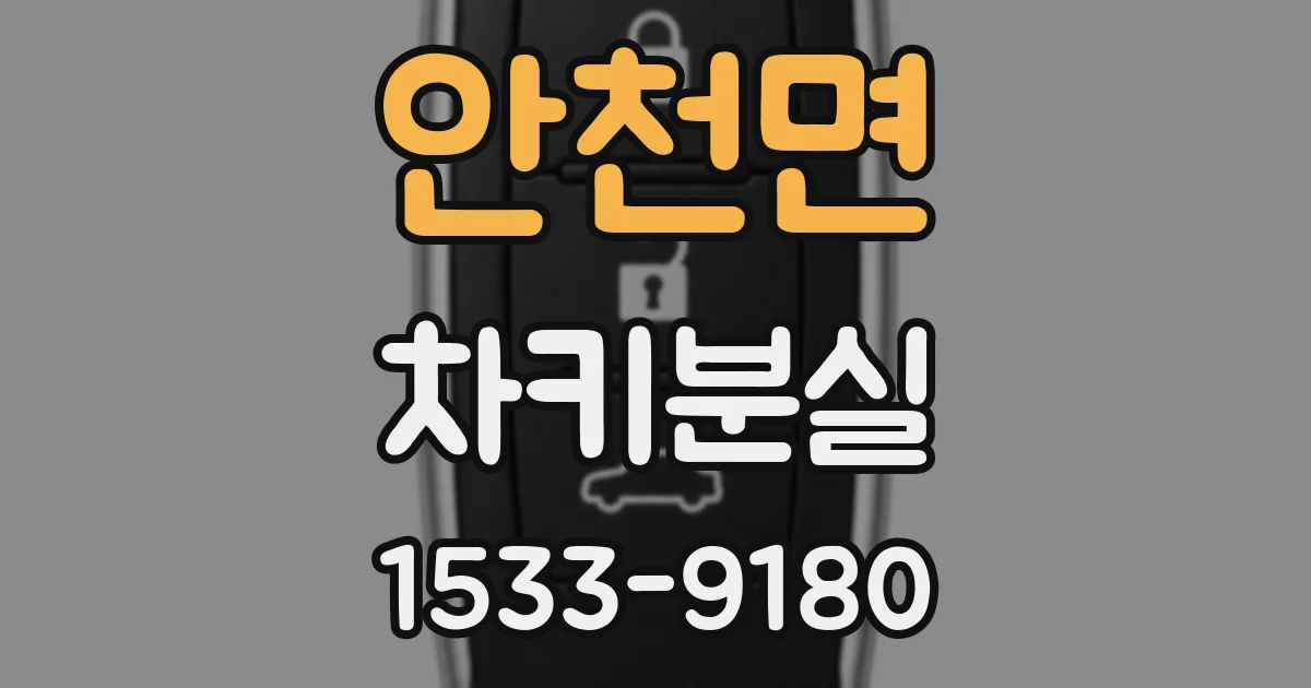 안천면 차키분실