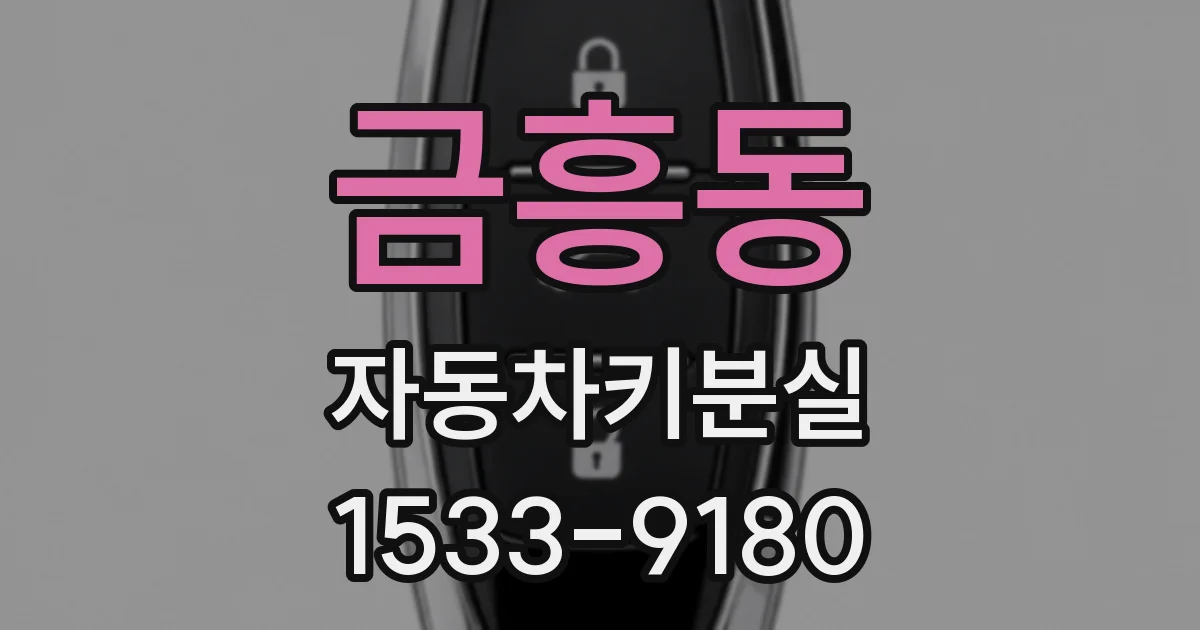 금흥동 자동차키분실