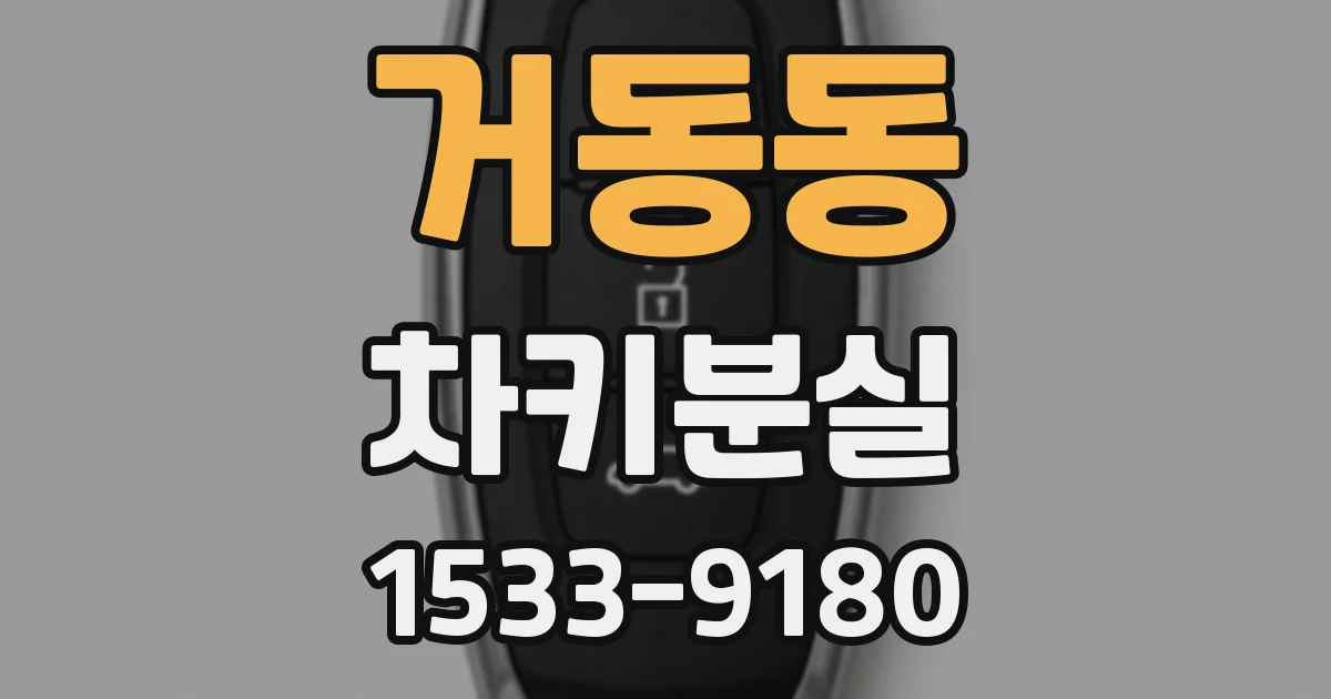 거동동 차키분실
