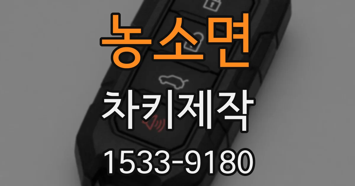 농소면 차키제작