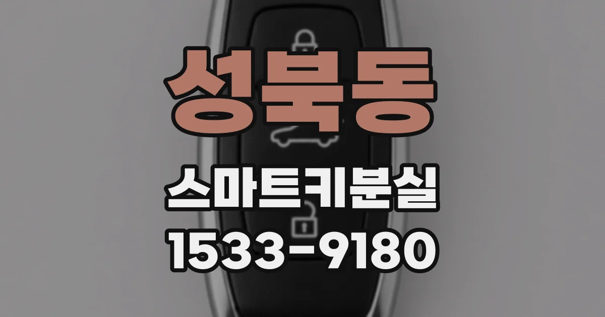 성북동 스마트키분실