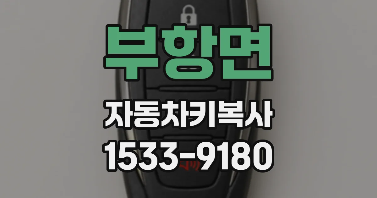 부항면 자동차키복사