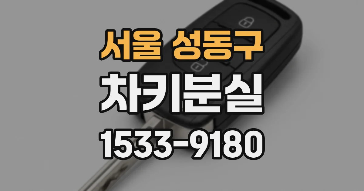 서울 성동구 차키분실