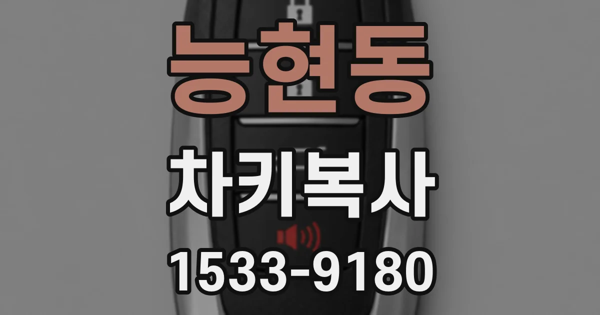 능현동 차키복사