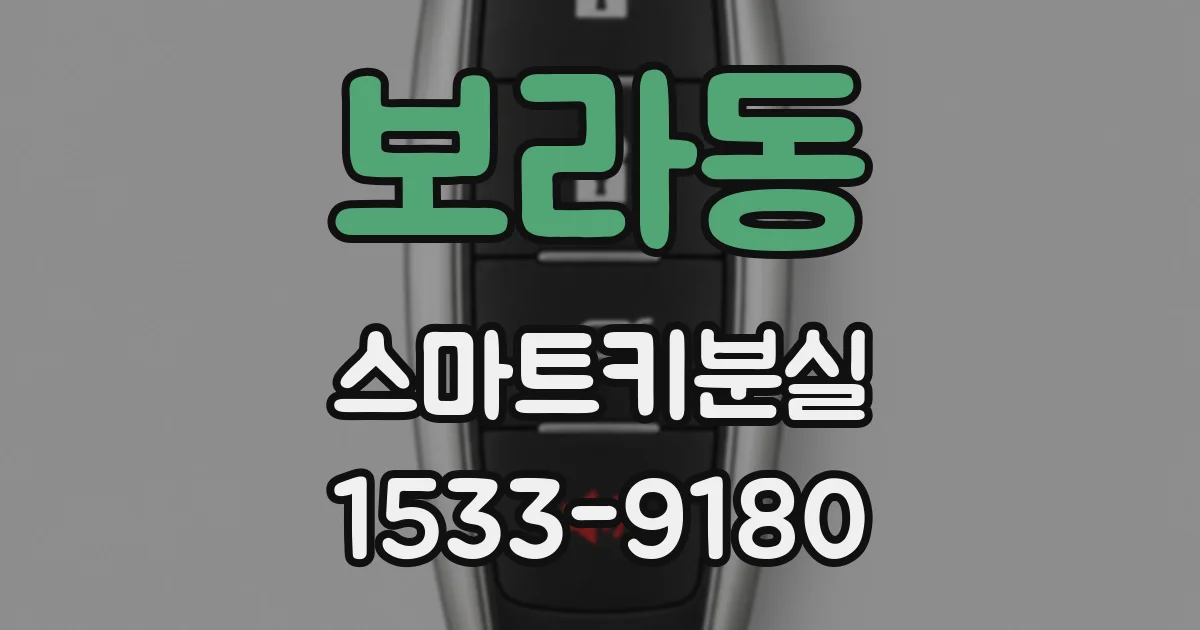 보라동 스마트키분실
