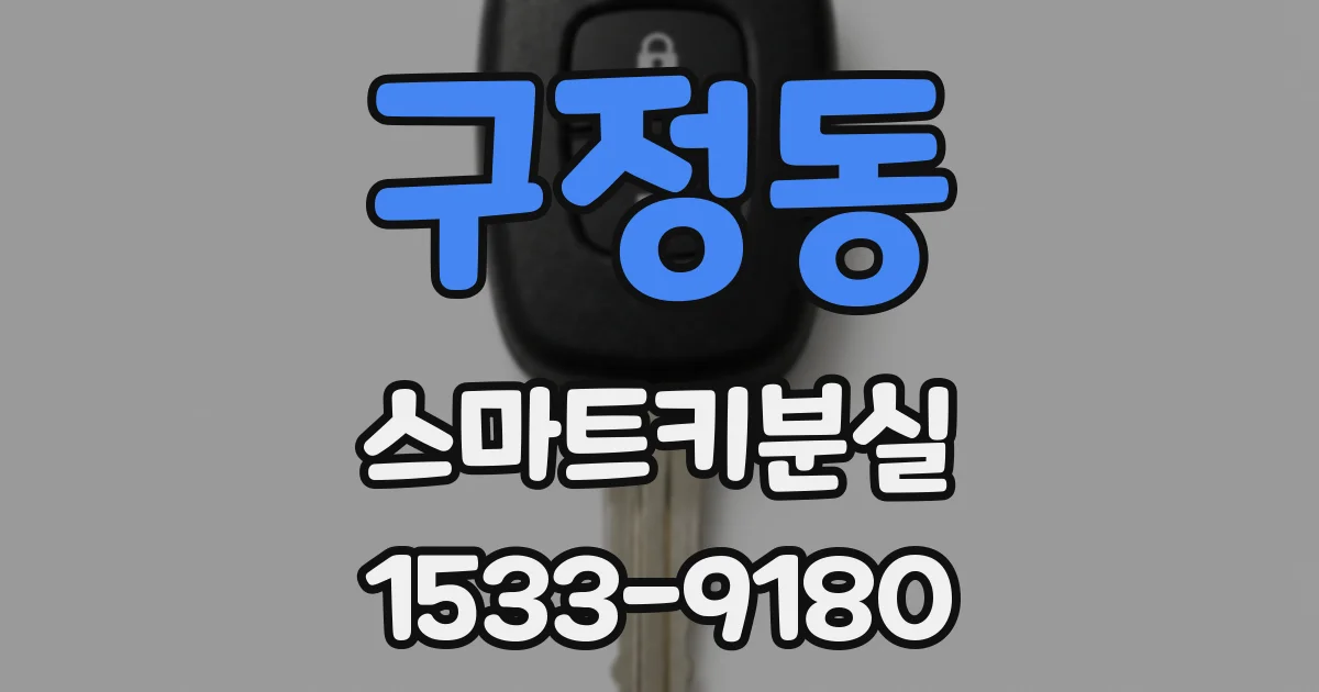 구정동 스마트키분실