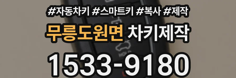 무릉도원면 차키제작