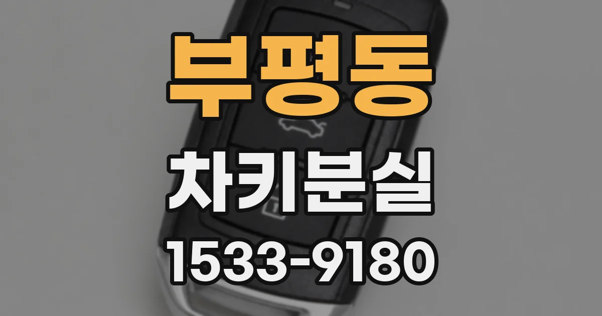 부평동 차키분실