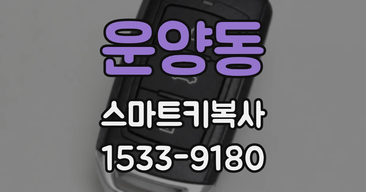 운양동 스마트키복사