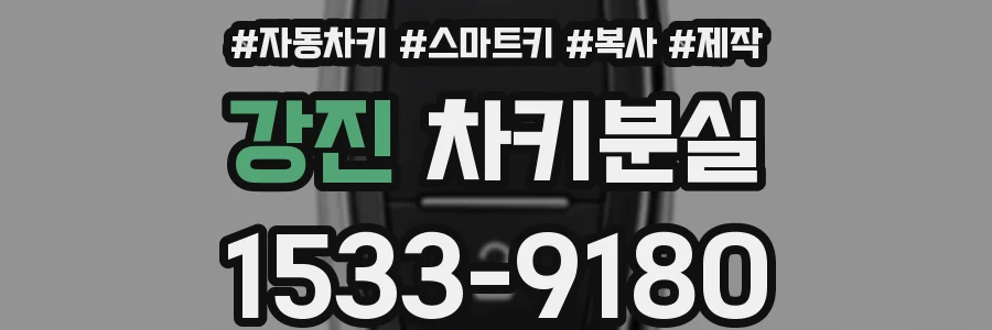 강진 차키분실