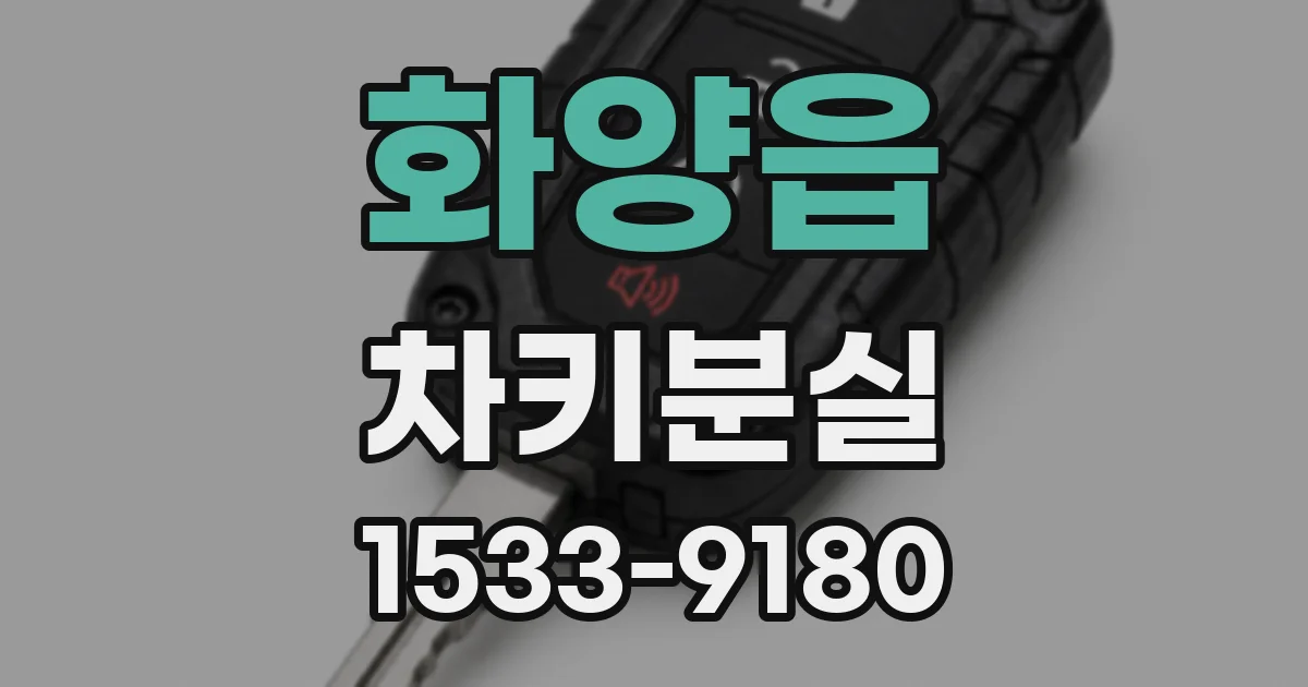 화양읍 차키분실